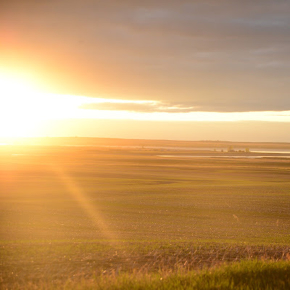 Meet your Posher, Emery - Picture 1 of 1